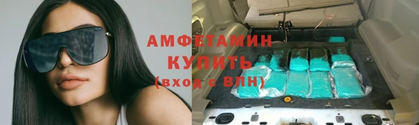 трава Балахна